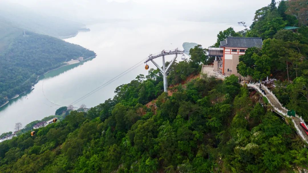 公海彩船6600(中国游)官方网站